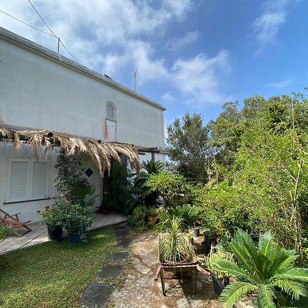 Le Dimore Di Zaro - Green Paradise Forio di Ischia Habitación foto
