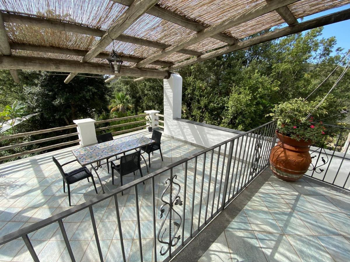 Le Dimore Di Zaro - Green Paradise Forio di Ischia Exterior foto