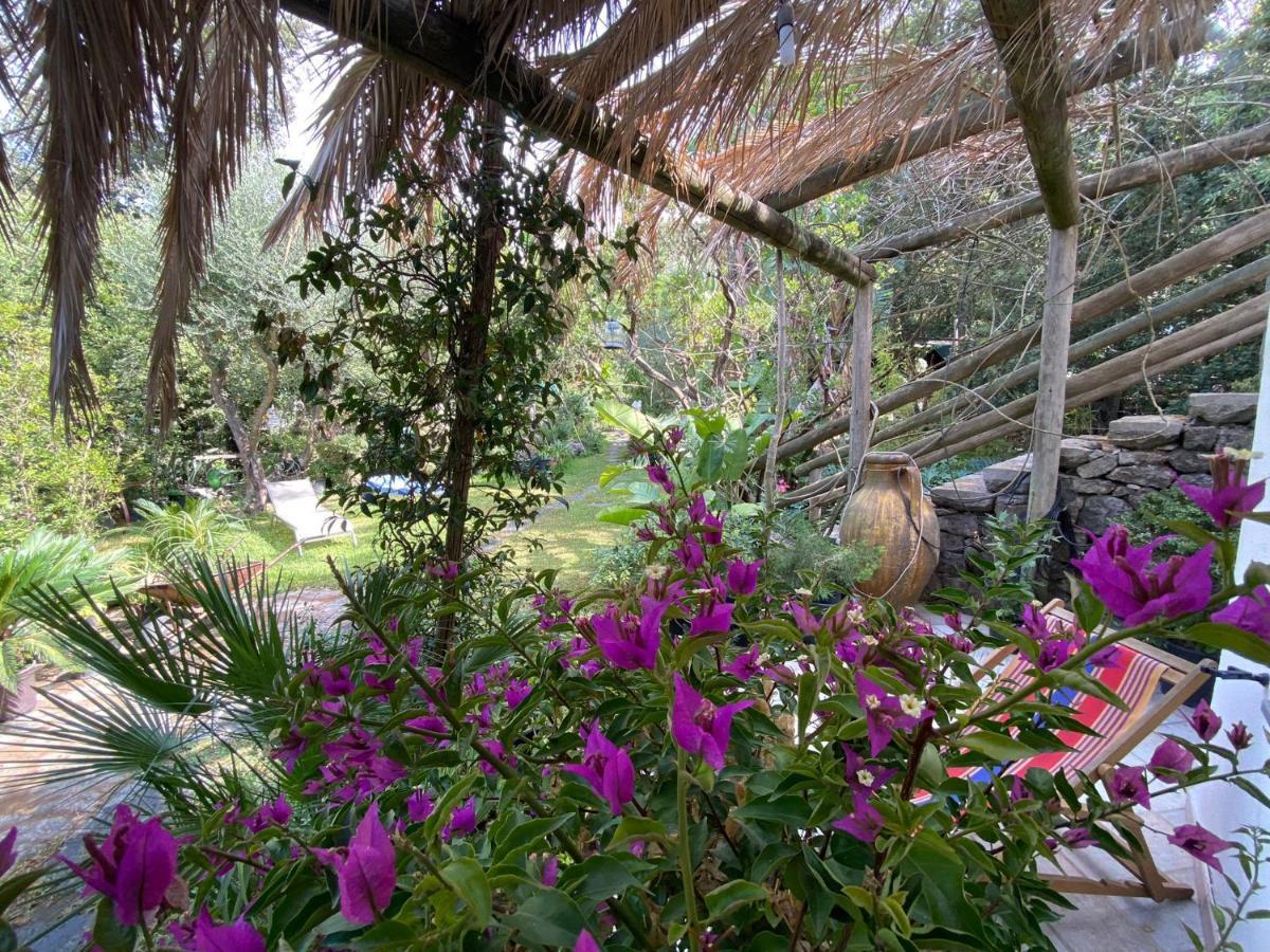 Le Dimore Di Zaro - Green Paradise Forio di Ischia Exterior foto