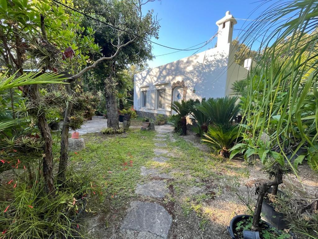 Le Dimore Di Zaro - Green Paradise Forio di Ischia Exterior foto