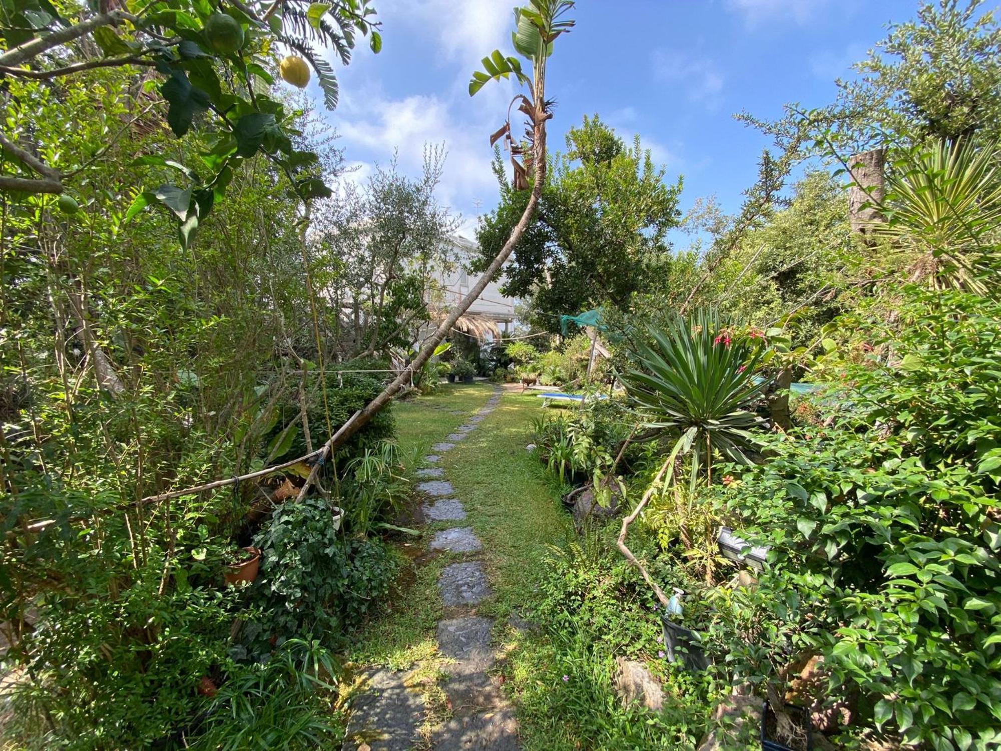 Le Dimore Di Zaro - Green Paradise Forio di Ischia Habitación foto